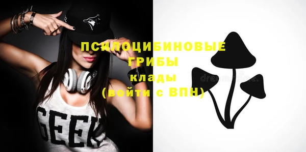 МДПВ Тавда